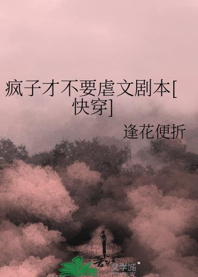 疯子txt