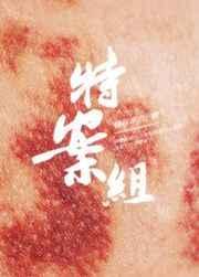 特殊案件调查组vi txt南风