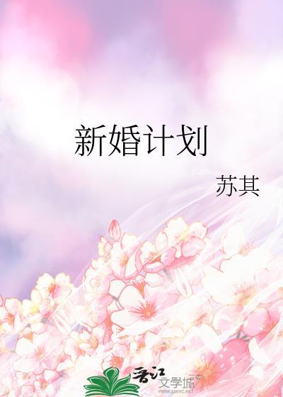 新婚计划苏其番外