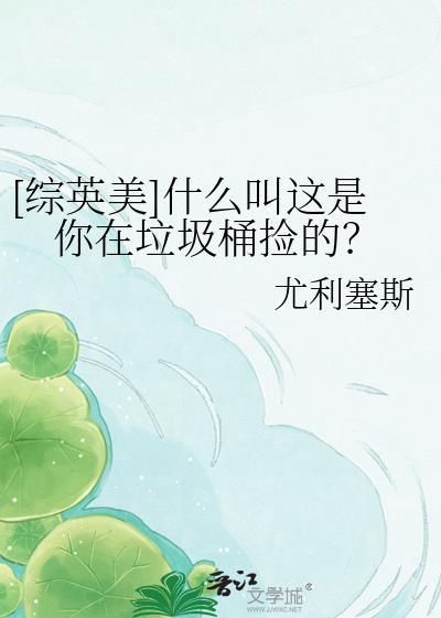 这是我在垃圾堆音响烂