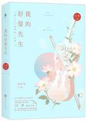 我的舒曼先生讲的什么