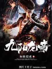 九阳龙帝 星宇翔龙 免费