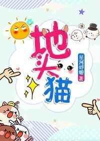 地头猫讲的是什么