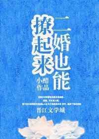 二婚也可以撩起来