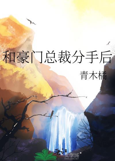 跟豪门总裁离婚之后