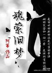 魂萦旧梦歌词