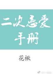 笫二次恋爱