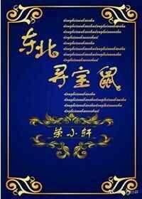 寻宝鼠XBSGF