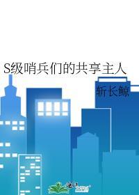 哨兵slc