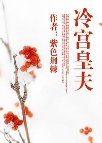 冷宫皇夫第二部