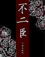 不二臣电视剧