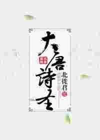 大唐诗圣为什么不能播