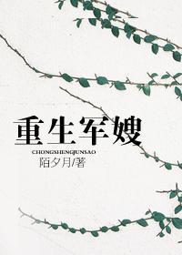 重生军嫂攻略八匹