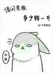 老板良心多少钱一斤
