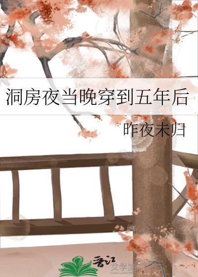 洞房夜当晚穿到五年后全文免费阅读