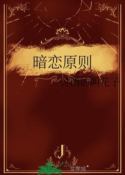 暗恋原则在线阅读