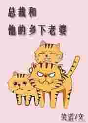 总裁和他的乡下老婆全文