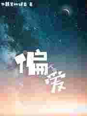 偏爱藏在星光里