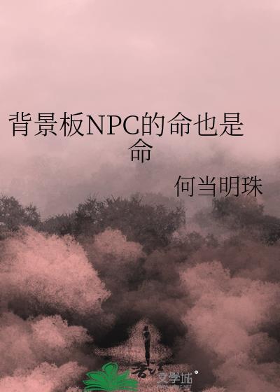 npc是背景板吗