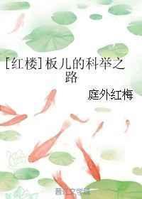 红楼梦的板儿是谁的儿子
