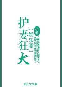 护妻狂电视剧