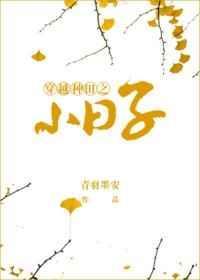 穿越种田之小日子免费阅读