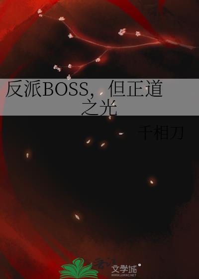 反派boss但是正道之光