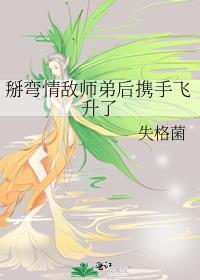 弯掰直温情向推荐文笔要好