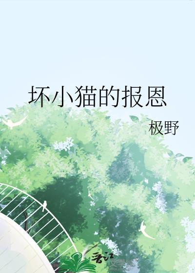 坏猫的故事