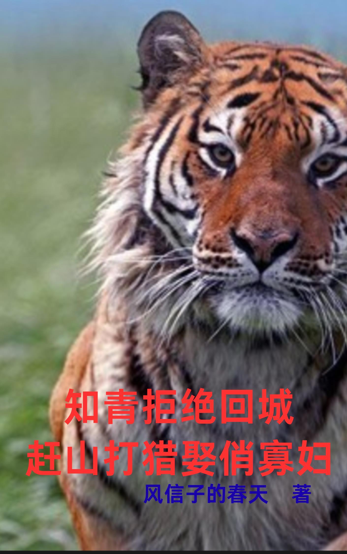 知青拒绝回城:赶山打猎娶俏寡妇